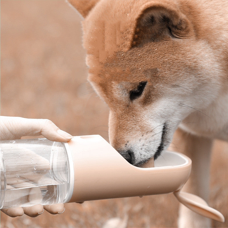 Hund trinkt unterwegs aus tragbarer Trinkflasche, die von einer Hand gehalten wird.