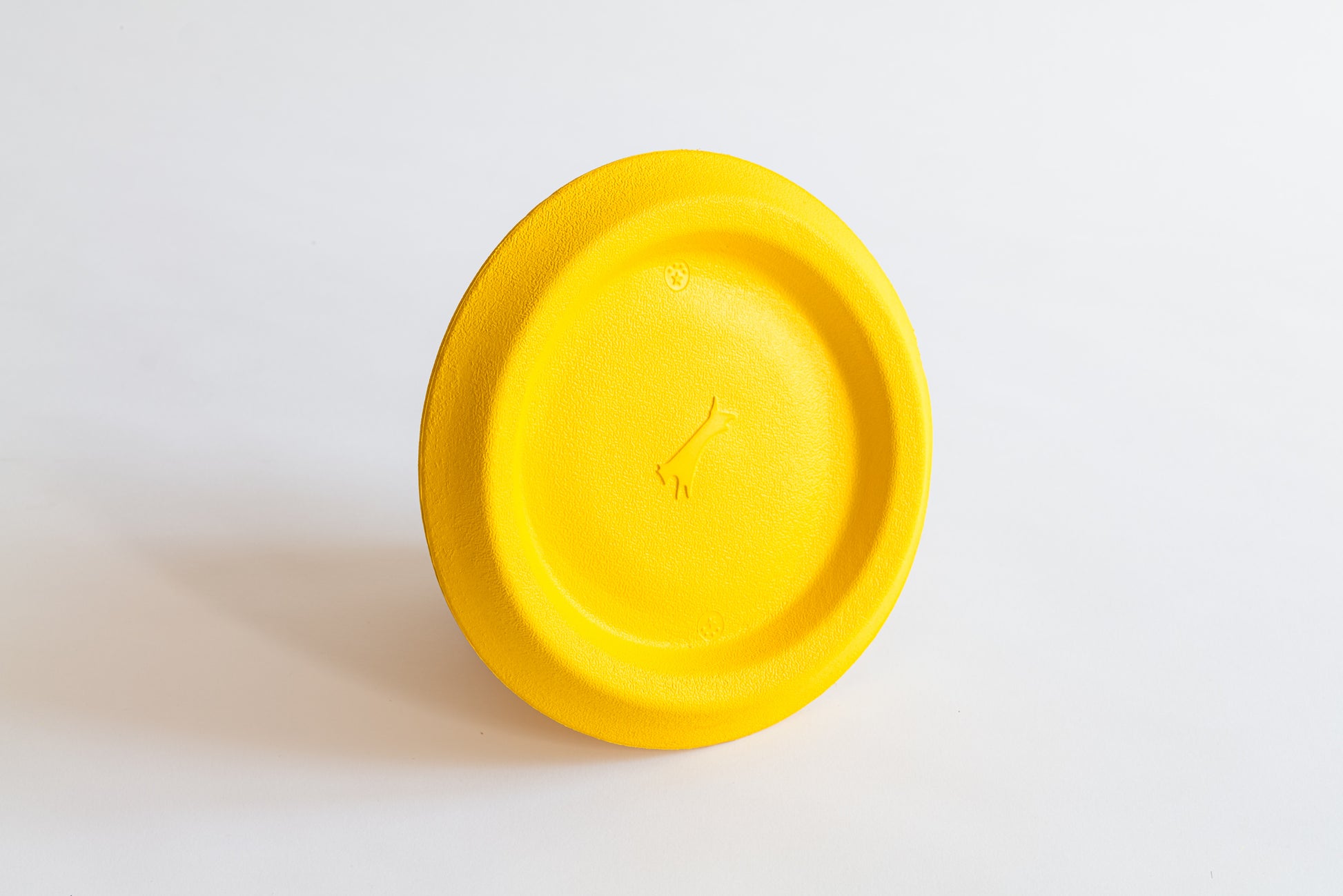 Hunde Frisbee in gelb von vorne
