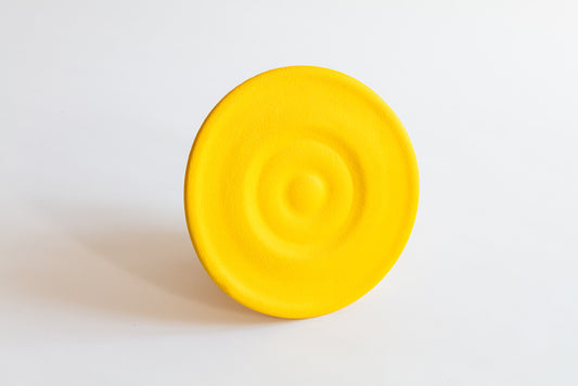 Hundefrisbee in gelb von hinten